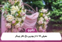 معرفی 10 تا از بهترین باغ تالار چیتگر